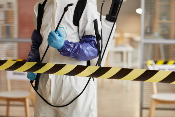 Professional Biohazard technician working in Dale, TX